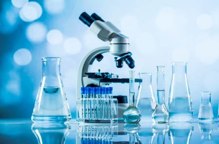 Nina Daniela ANGHELUȘ